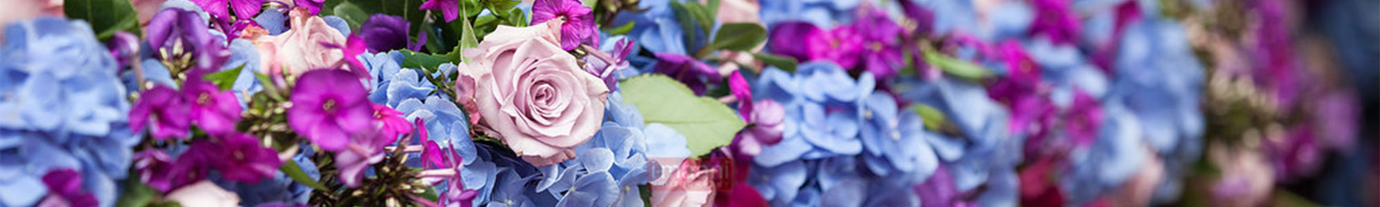 flowers-banner - Dream Occasions